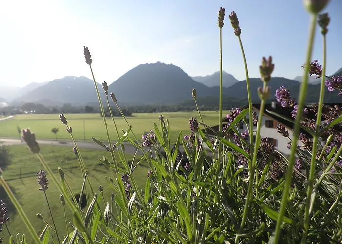 Apartmán Haus Sonnblick